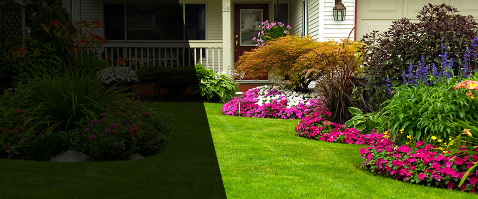 Mcallen Landscapers