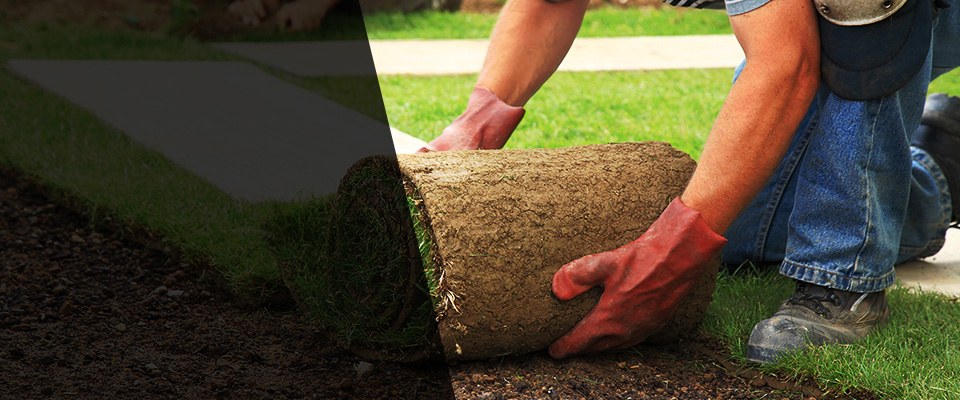 Mcallen Landscapers